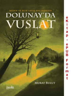 Dolunay'da Vuslat (e-Kitap)